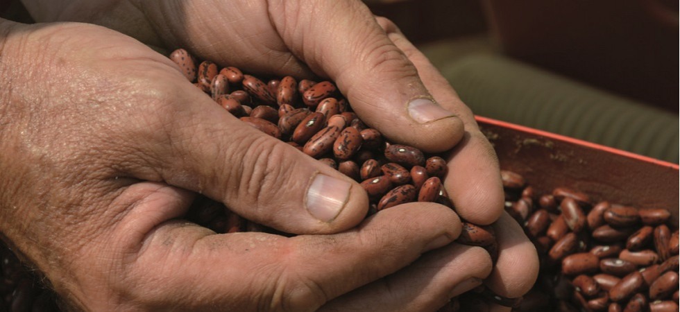 Dal cece nero della Puglia al fagiolo rosso di Lucca: Slow food dell'Adige Alto Garda porta sulle tavole trentine